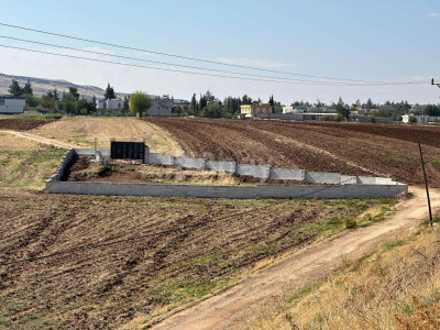 WhatsApp Image 2025-06-02 at 15.53.39.jpeg